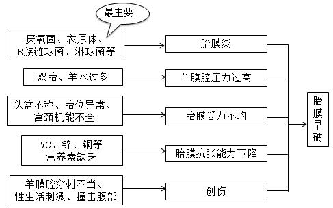 怀孕25属于流产还是早产,27周属于早产还是流产