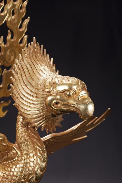 《金翅雀》内容赏析,金翅雀的描述