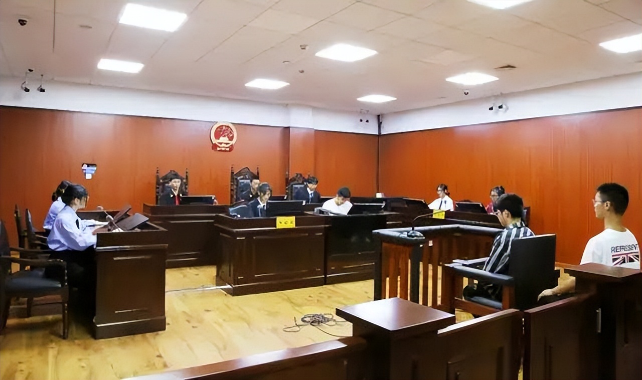 收养118个孩子的母亲被判20年,收养118个弃婴的妈妈被判刑