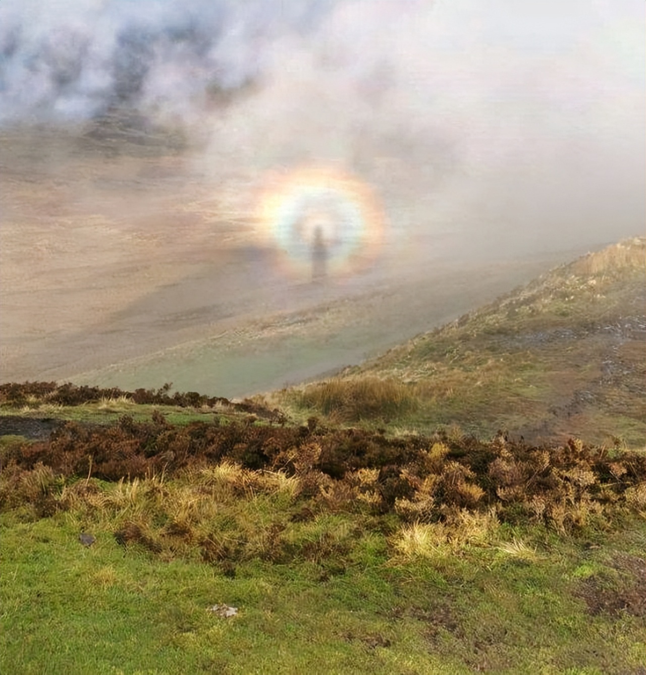 美丽的大自然的作文,美丽的大自然现代诗