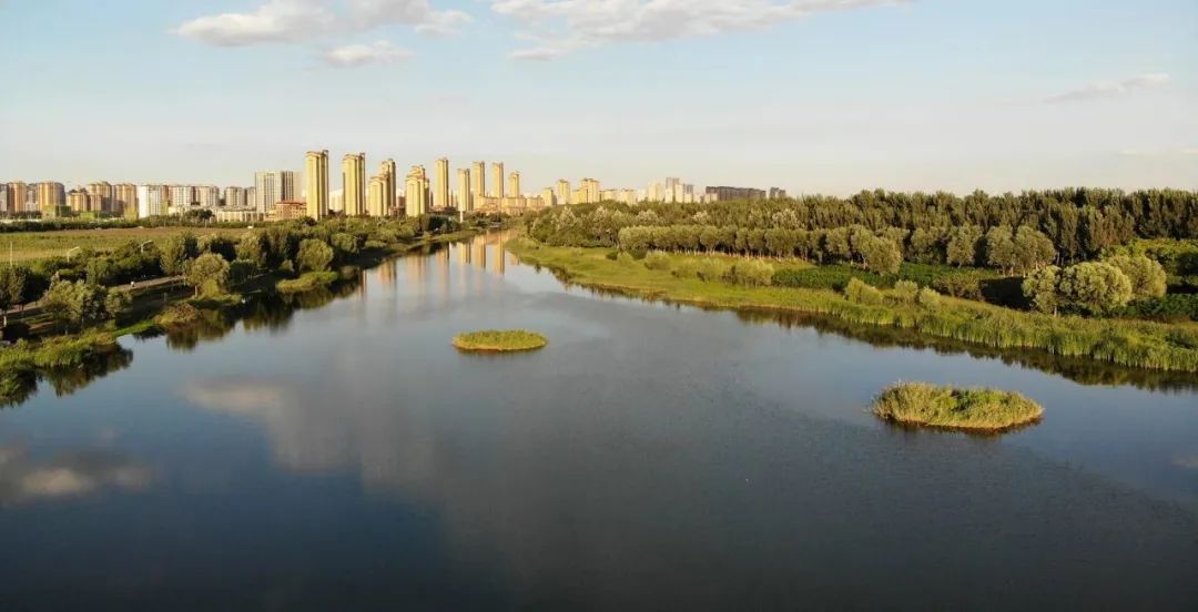 天大设计院设计者,天大设计总院院长