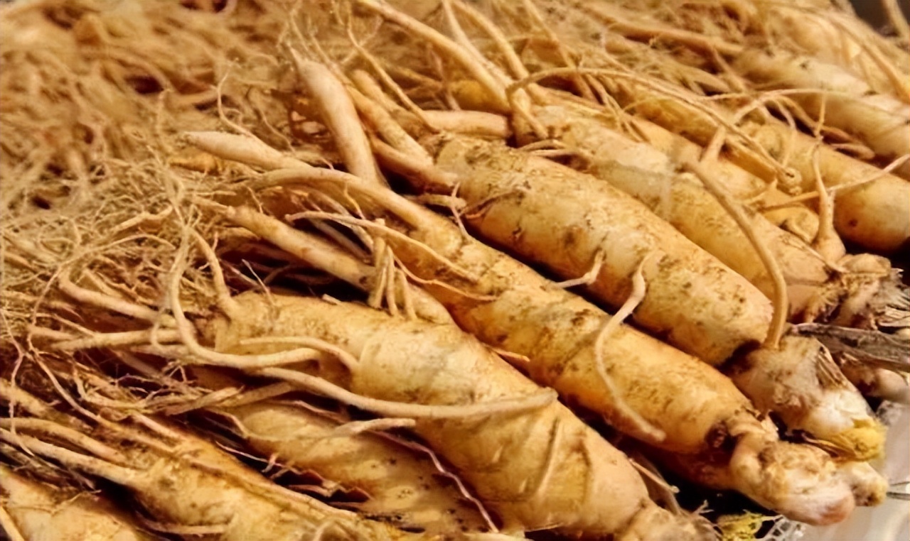 韩国宗教真实现状,现如今真实的韩国