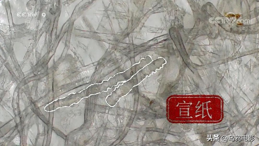 一口气八集!拿命换来的燃,果然是央视良心