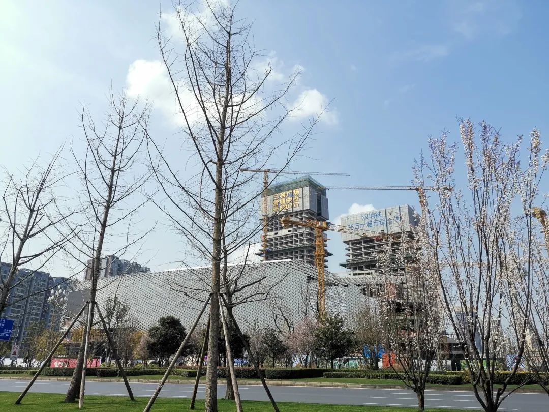 新鸿基悦城新楼盘,新鸿基悦城8月最新开盘评论