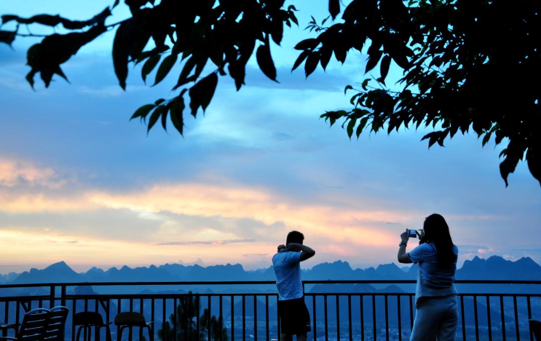 猫咪走太空步原视频最火,猫咪壁虎漫步视频