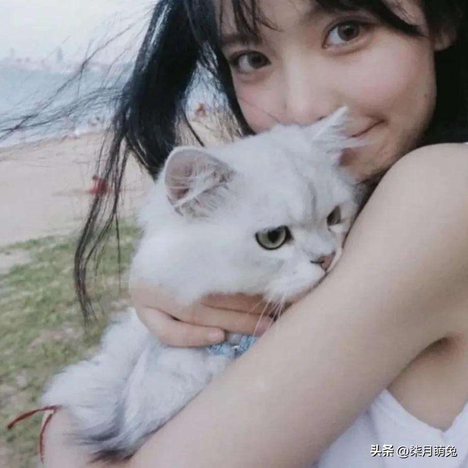 十二星座的正版配对,十二星座配对查询表