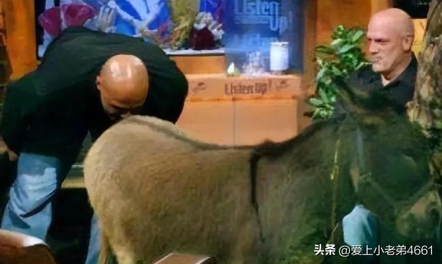 姚明被称为中国长城吗,姚明在中国第几高