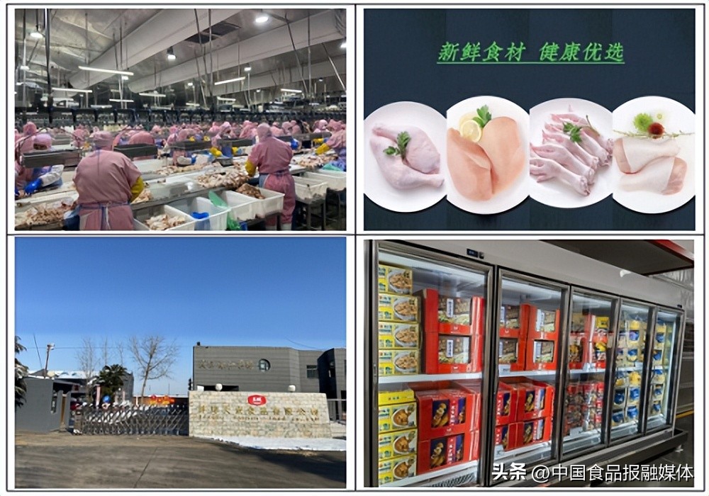 大成食品上半年扭亏,大成食品2013年报