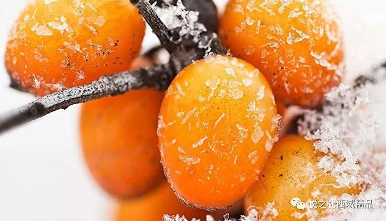 沙棘果粉怎么辨别真假,怎么辨别沙棘冻干全果粉