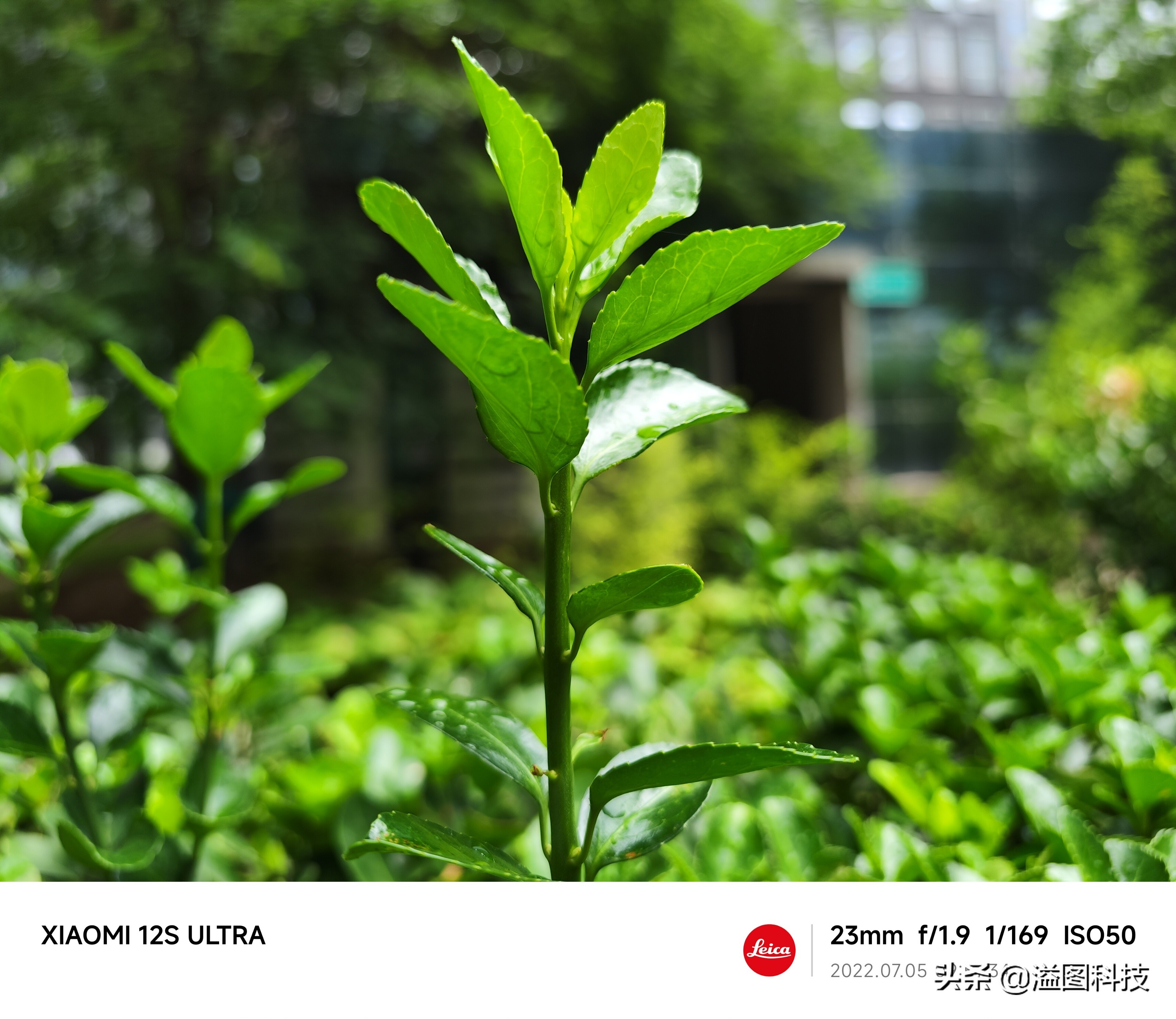 小米12sultra拍摄功能详解,小米12sultra摄影功能深度解析