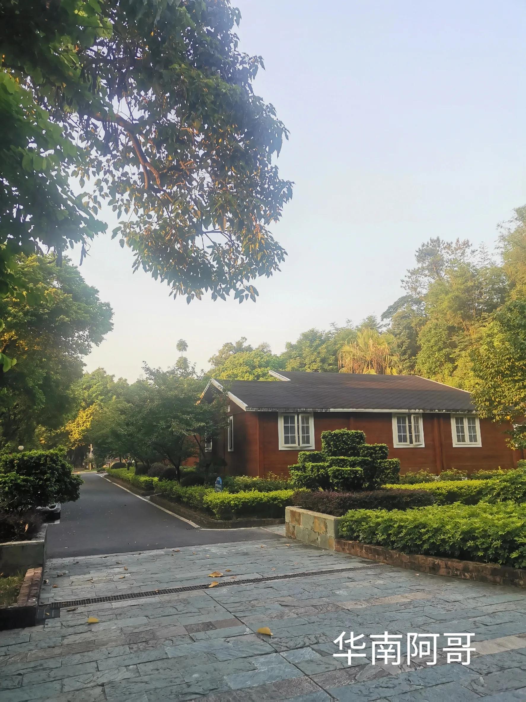 小说大山里的爱情,大山里的爱情小品