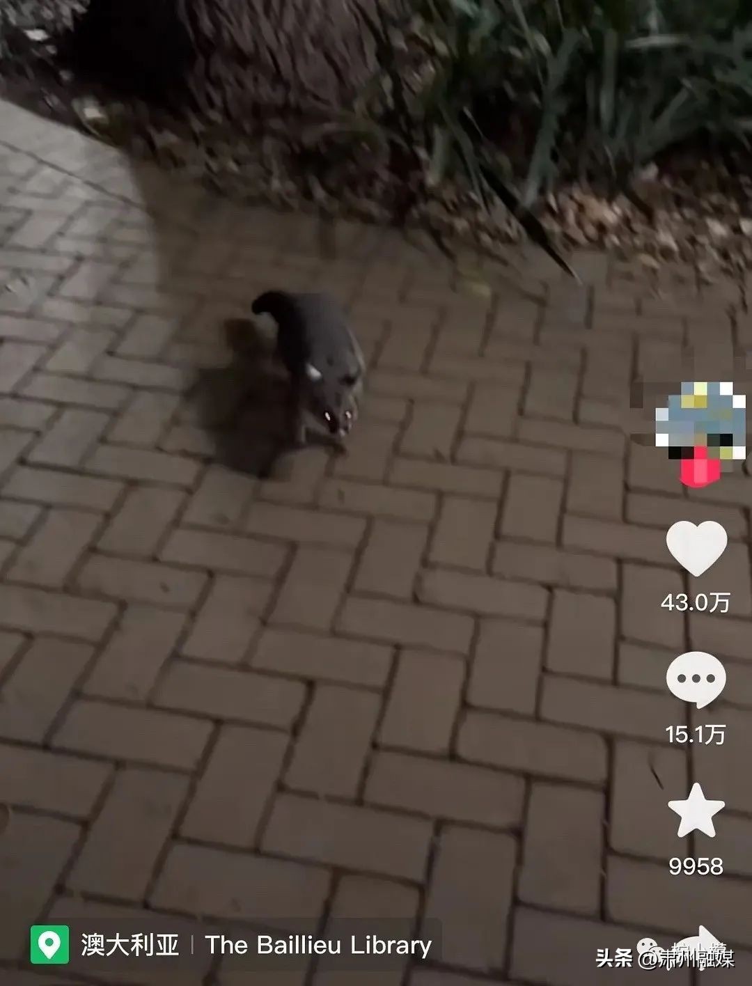 盘点那些在网购的山寨货,盘点那些网购的山寨物品