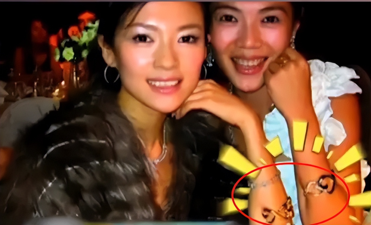 人走茶凉苏芒：封杀唐嫣被章子怡踹掉，毁伊能静婚礼被洪晃暗讽