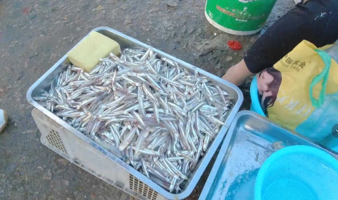 三亚大鲍鱼批发市场,三亚去哪里买海鲜最便宜