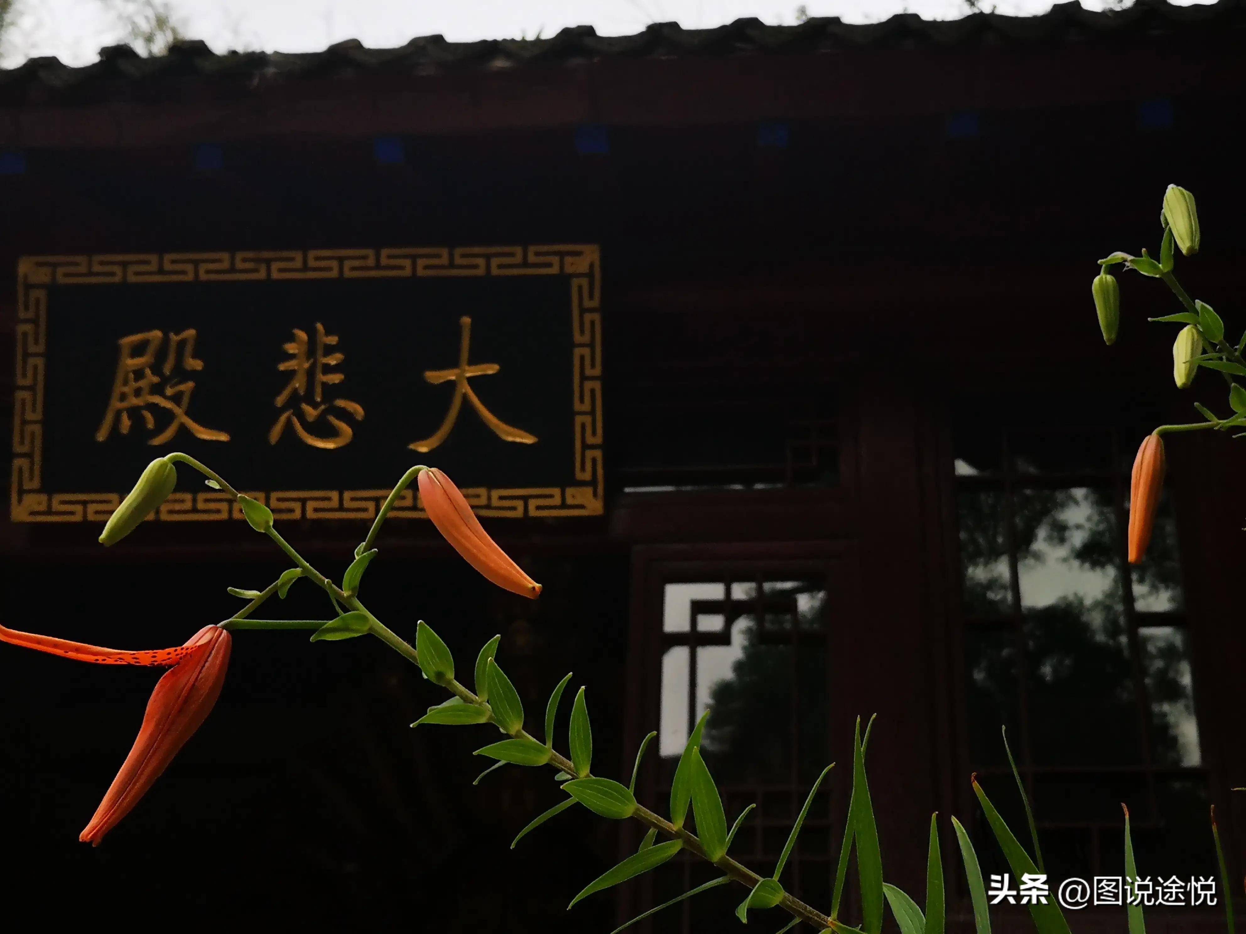 康熙时期皇家寺院,康熙王朝康熙得了天花片段