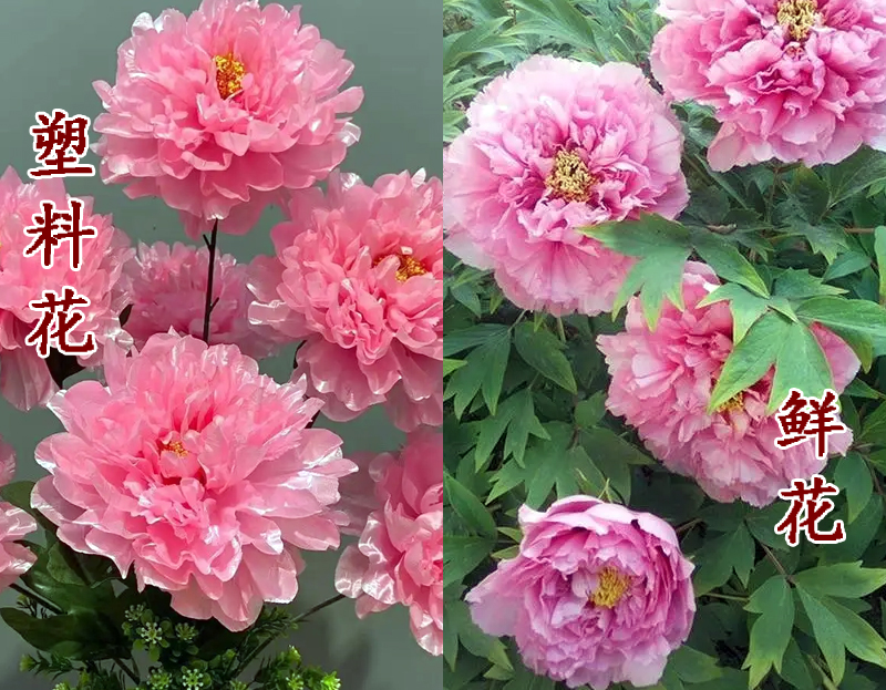 刚打完玻尿酸就别来尬演女兵了这5位女星演女兵让人看着真难受