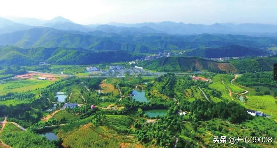 道德经精华成语大全,道德经里有多少成语