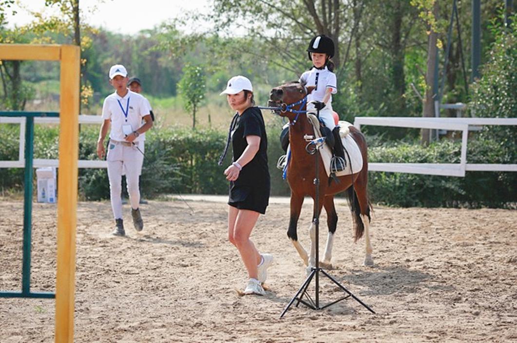 马术夏令营山东,马术夏令营深圳7天