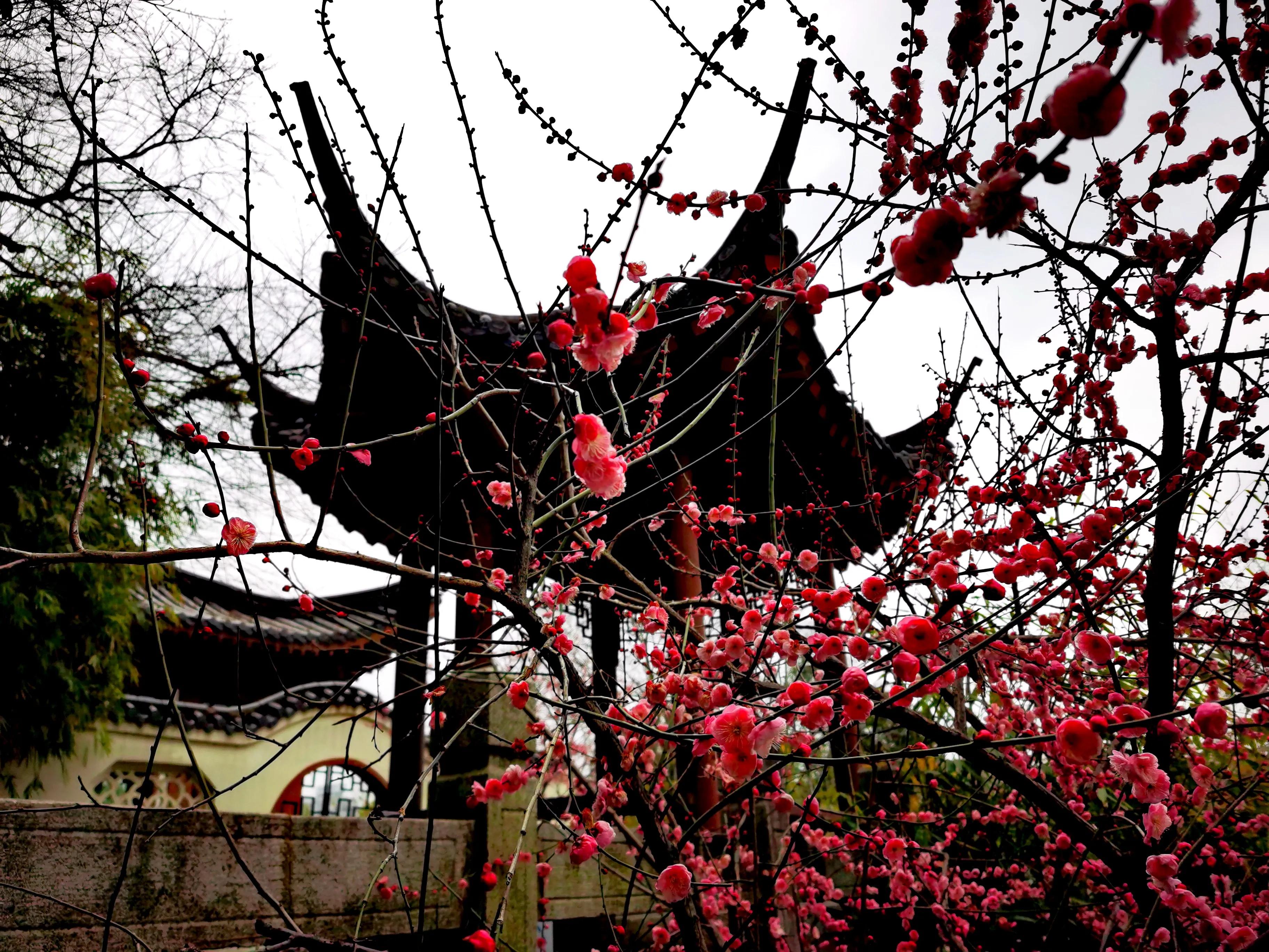 黄鹤楼十四景,黄鹤楼外游