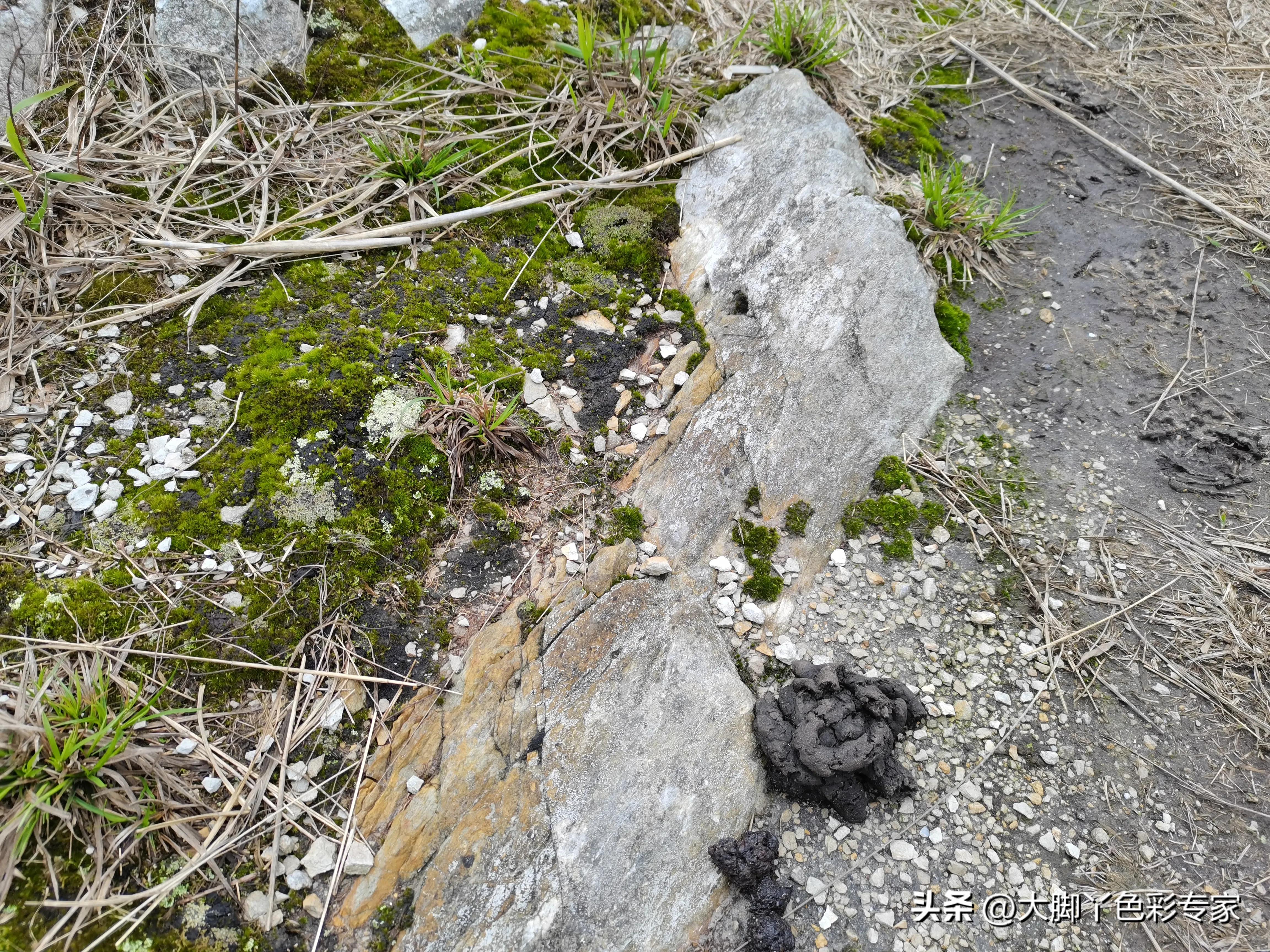 郴州八面山一日游,郴州八面山日出云海