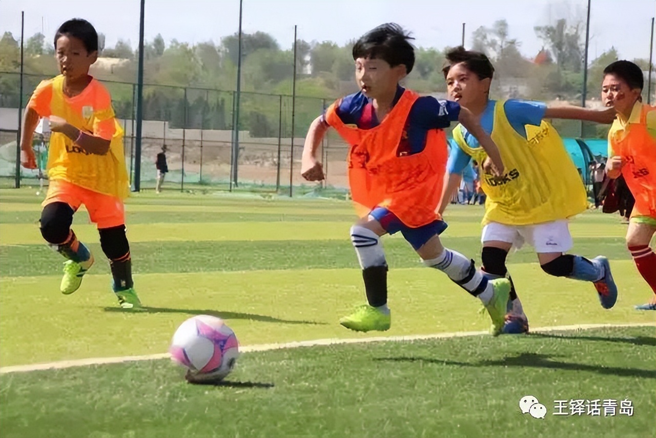 王铎回忆录《一蓑烟雨》226：十四、野性星空：我的足球启蒙