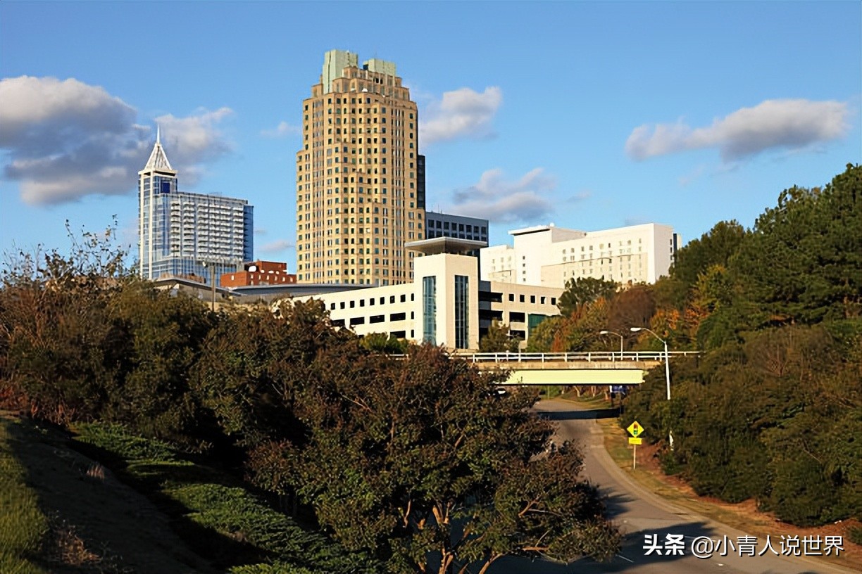 罗利市非常重视教育培养了很多工程师，罗利是个怎样的地方