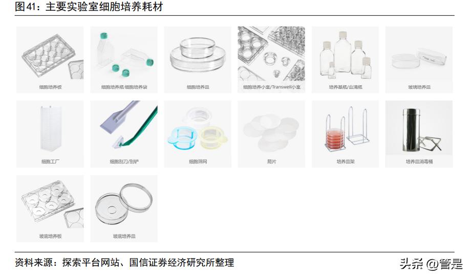 拱东医疗报告：医用低耗领先企业，产能释放及定制赋能带来新增量