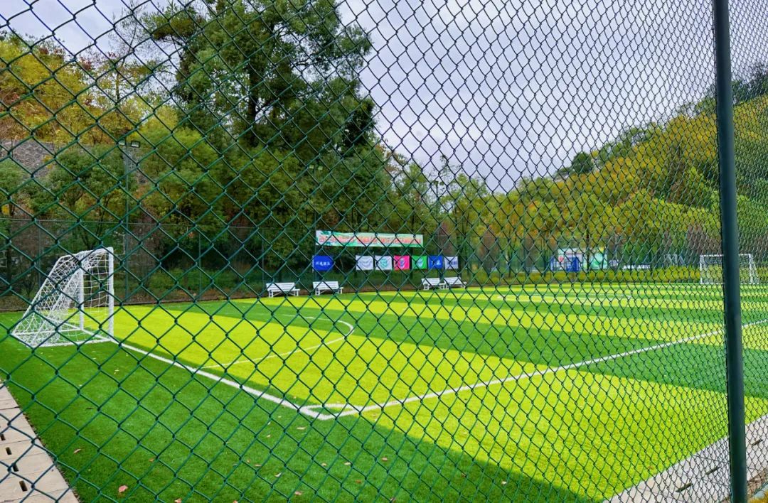 世界杯开始精彩,世界杯开始了没