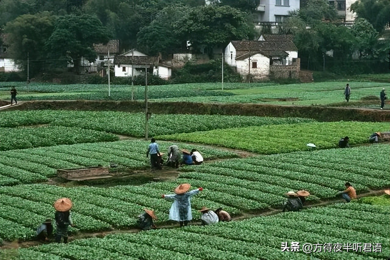 1979年的广州，恍如隔世