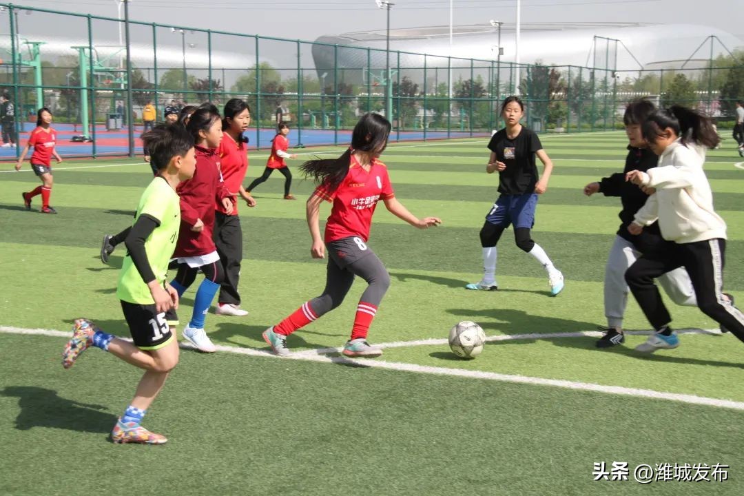 潍坊市第十三届全民健身游泳比赛,潍城区足球比赛2018