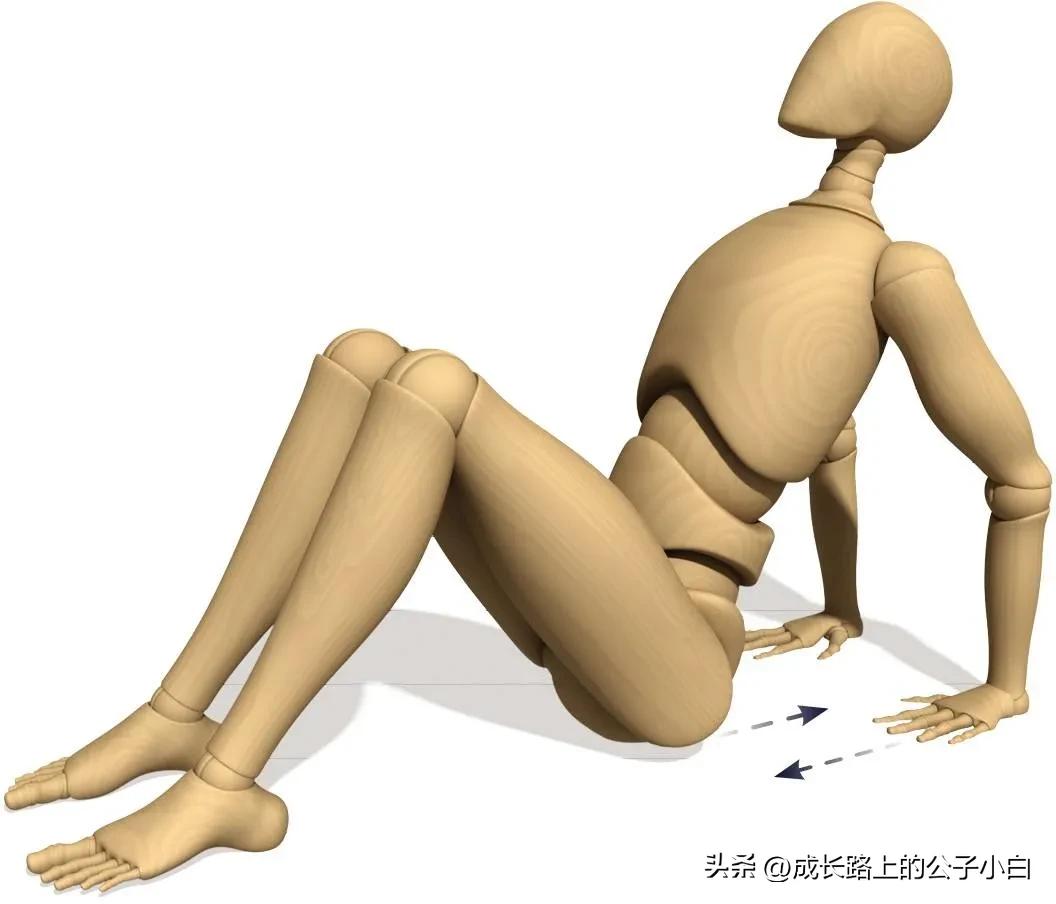 瑜伽解剖体式图解,瑜伽解剖体式讲解