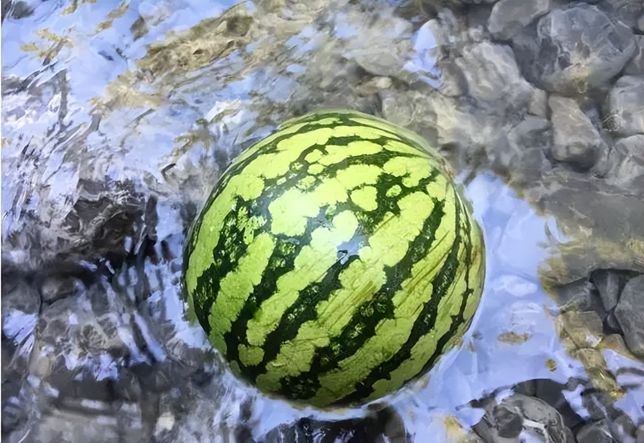 影星邓超曾在八一广场打地铺揭秘老南昌纳凉那些事儿