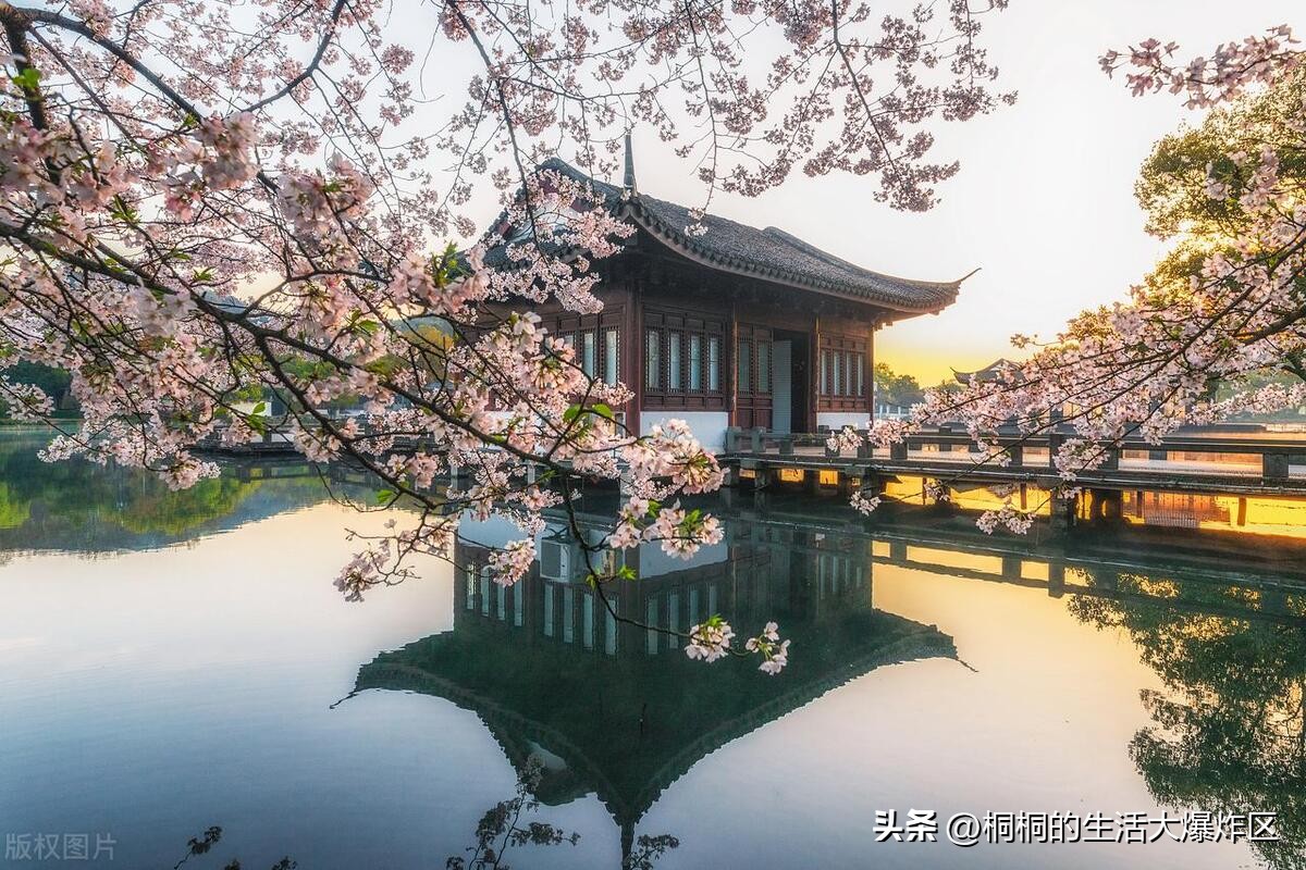 人间天堂杭州视频,旅游推荐杭州一日游