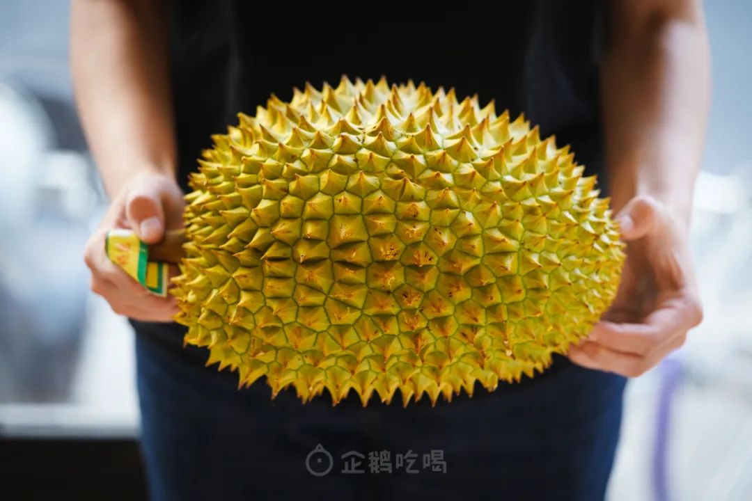 最近新出哪些水果好吃点,十大又贵又不好吃的水果