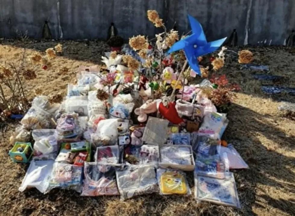 韩国虐待20个月孩子致死,韩国父母虐待孩子