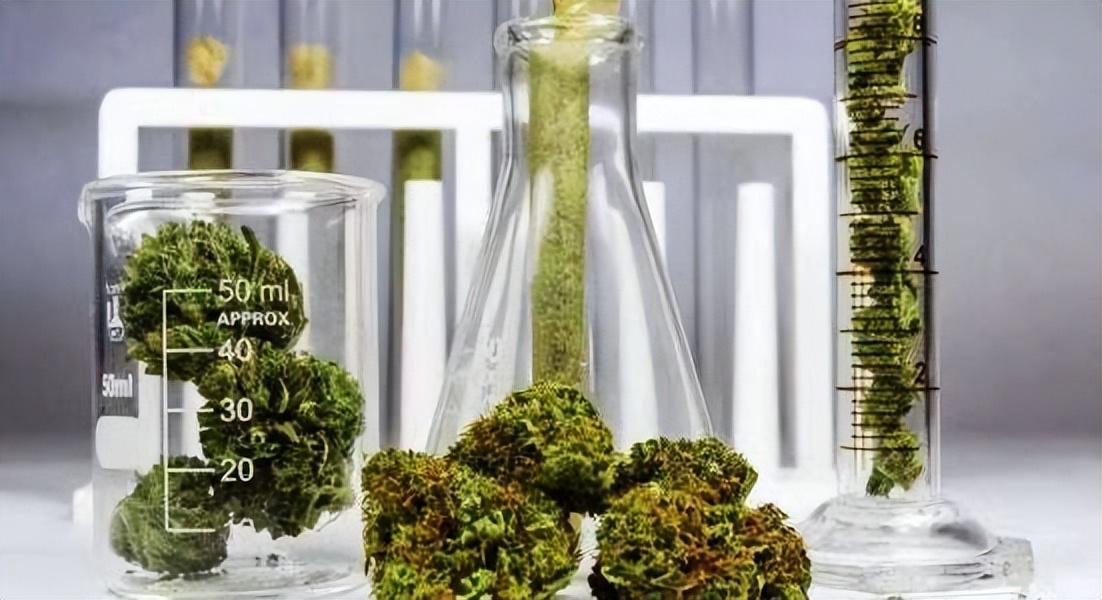 印制伪美钞不可能了吗,伪钞人民币大神