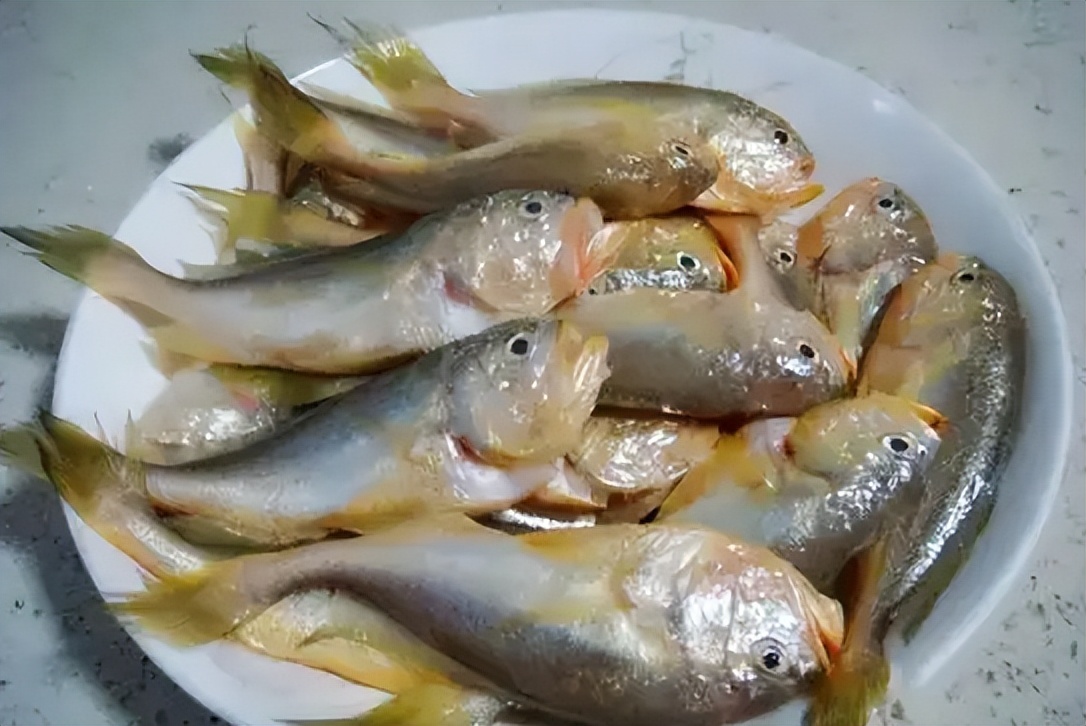 盘点八种正在消失的河鲜,常见的河鲜有哪些