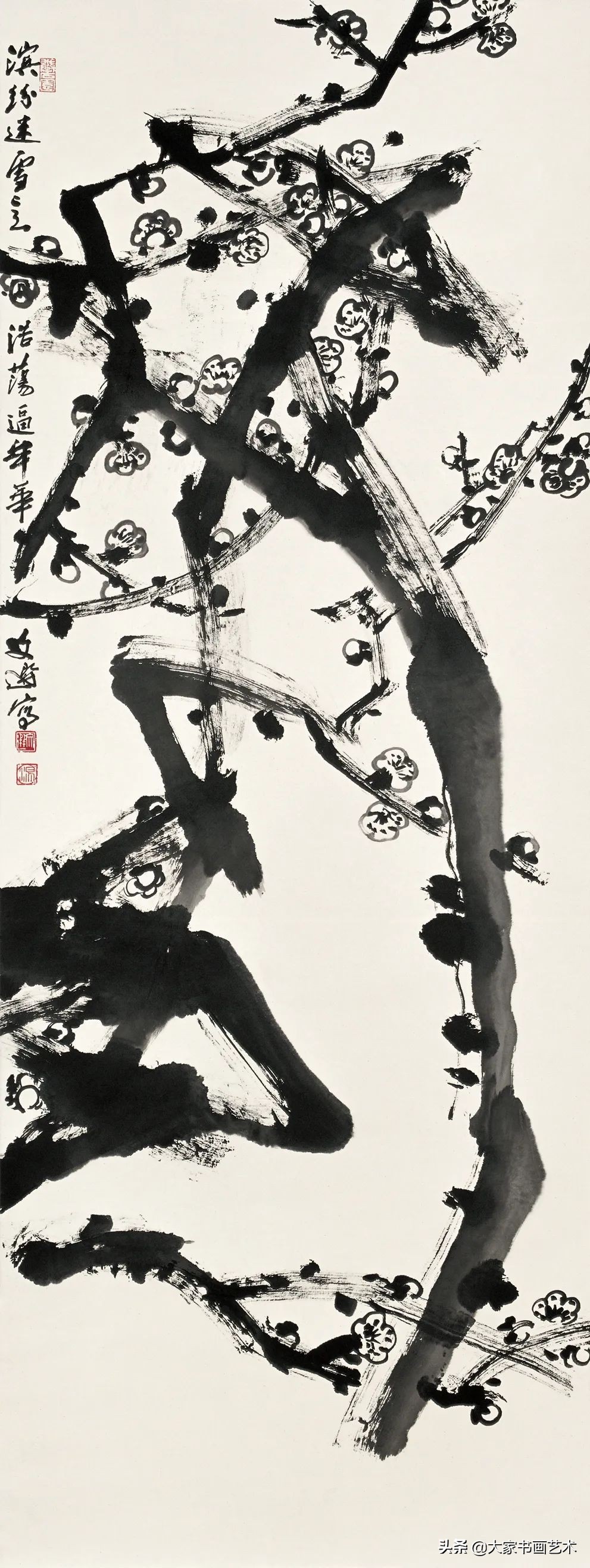 大家书画作品视频,汤立大写意花鸟画展