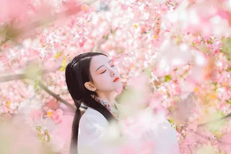 徒步大会、烟花秀、三转文塔…三水区闹元宵活动攻略→