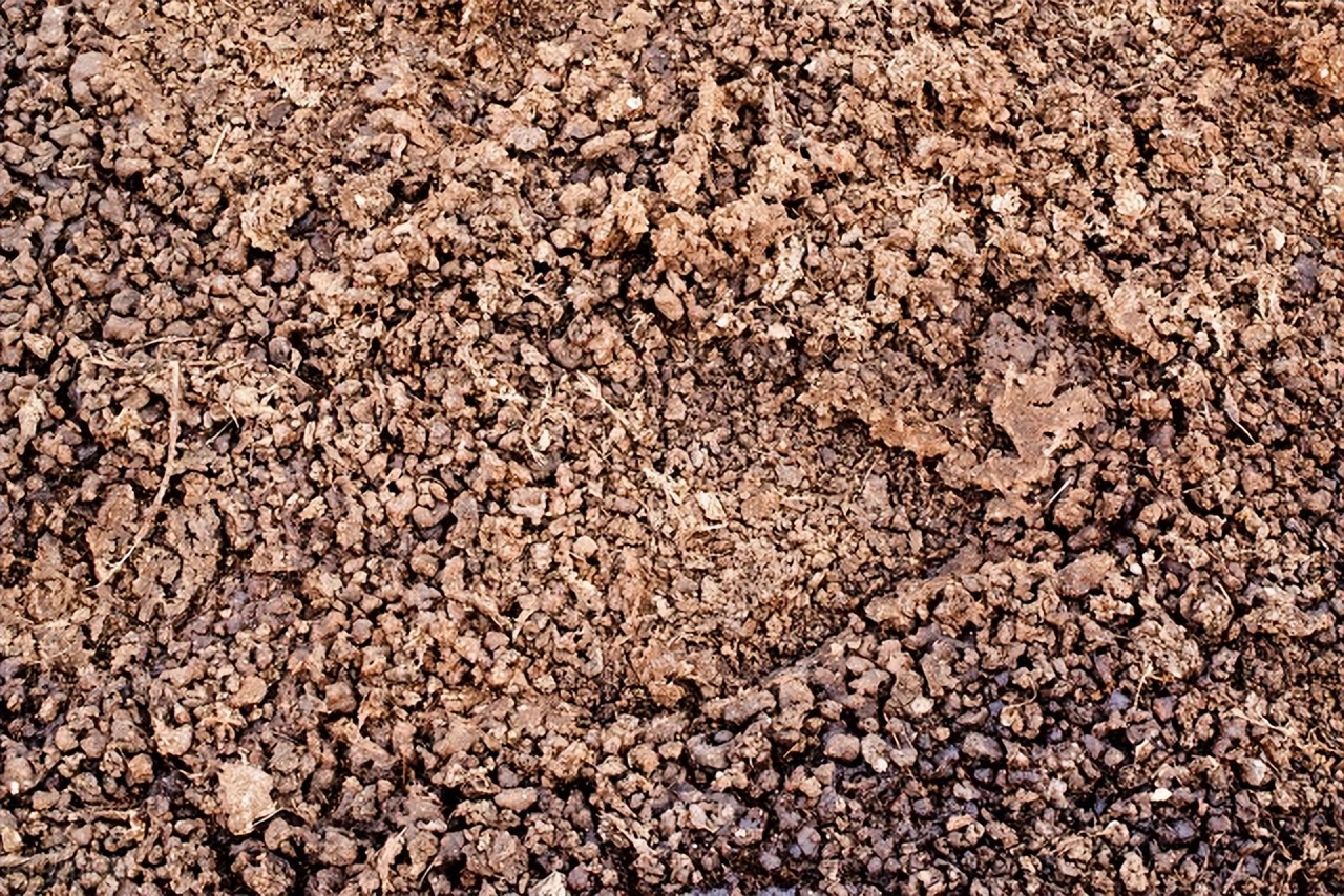 烘干鸡粪多少钱一吨批发,鸡粪烘干机器多少钱一台