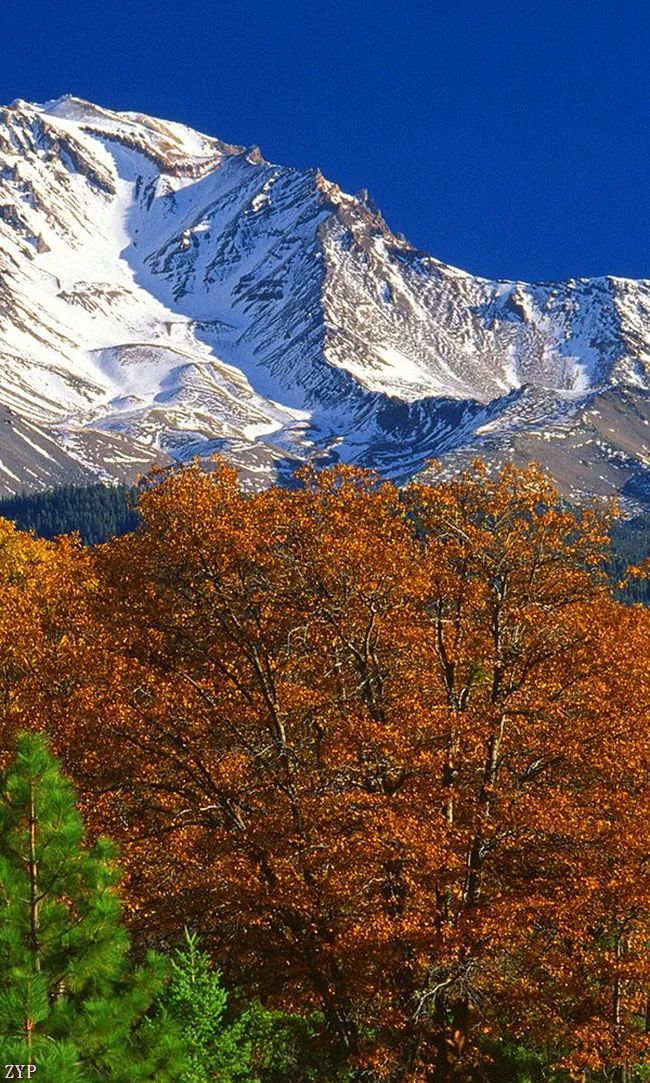 太美了100张人间美照,太美了最美中国红