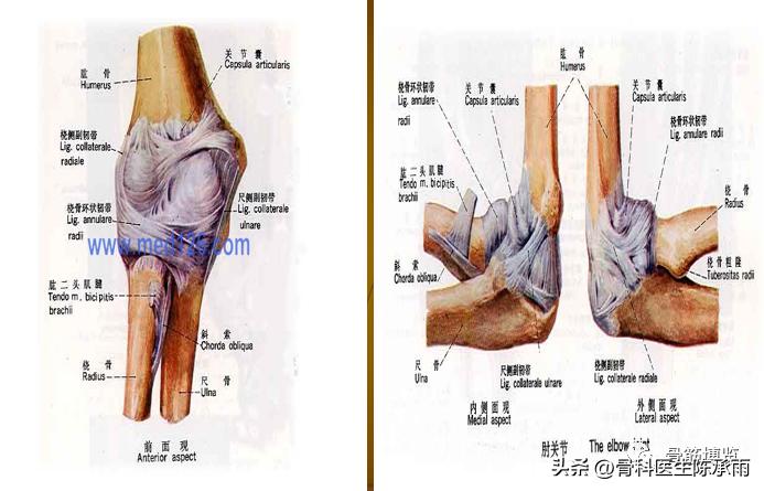 肘关节恐怖三联征最新治疗方法,肘关节恐怖三联征最佳治疗方法