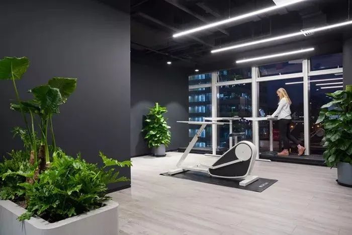 办公室必买的绿植,适合办公室的大型绿植大全