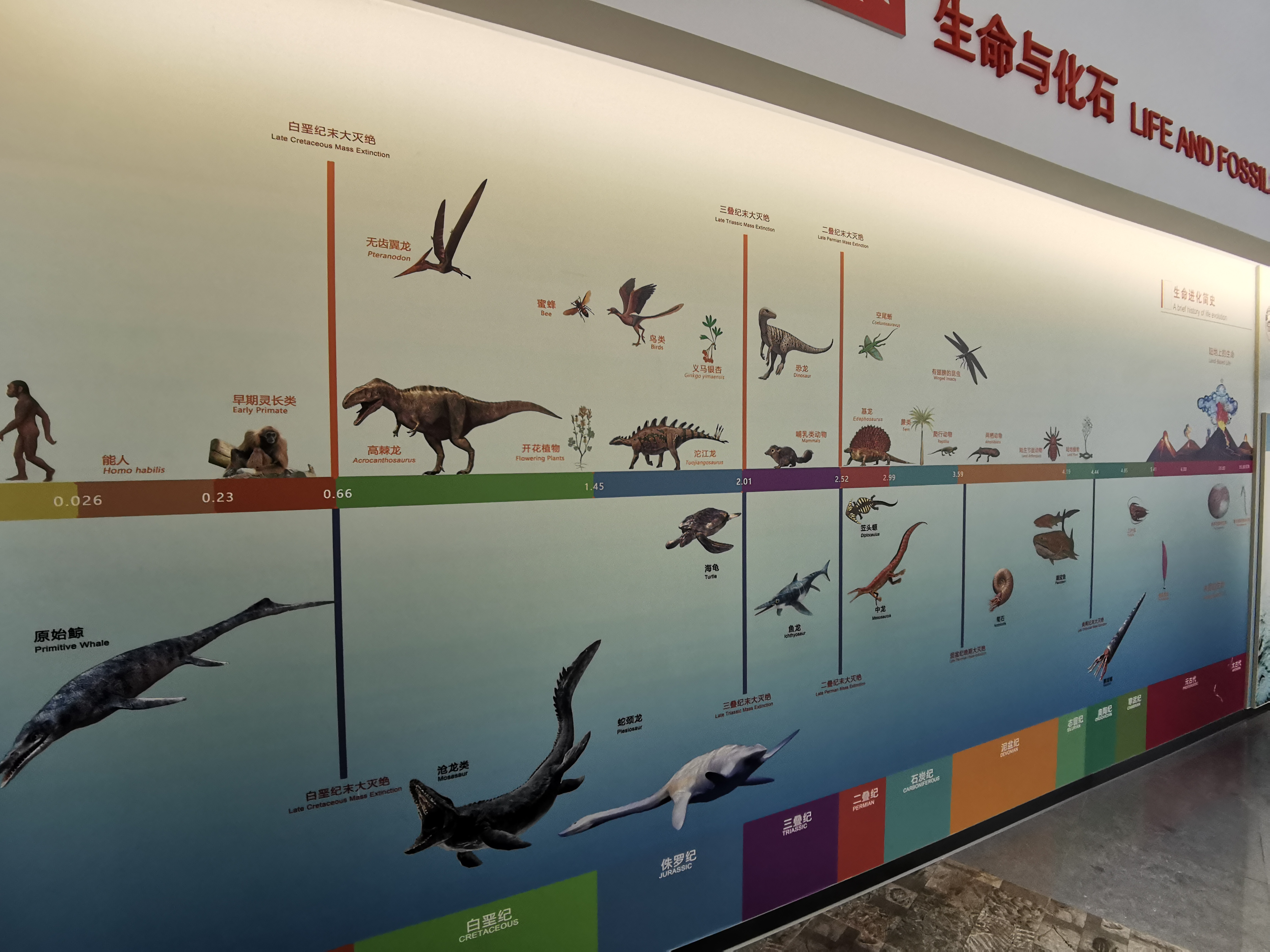 南京古生物博物馆观后感,古生物博物馆南京参观路线