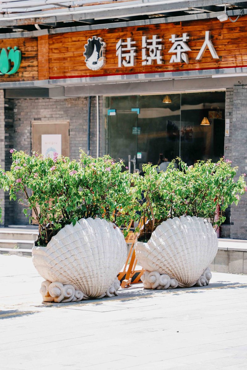 深圳ENJOY｜城市漫游指南·蛇口