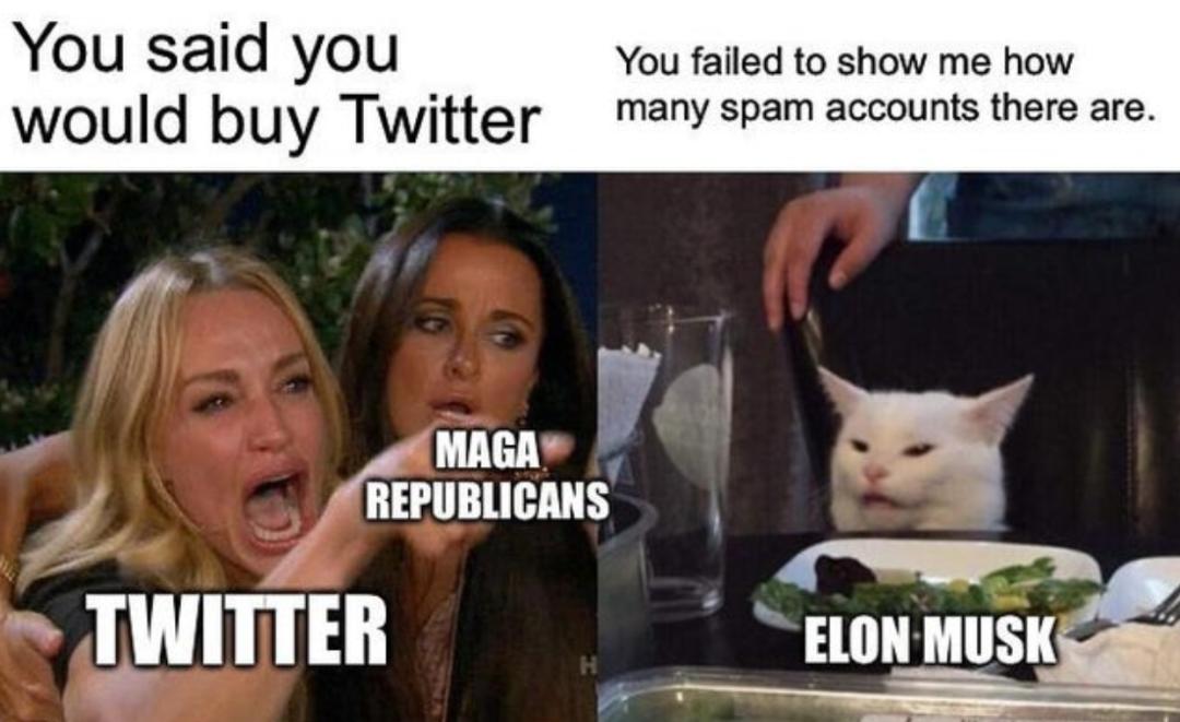 马斯克收购推特会释放被封号码吗,马斯克收购推特后各国反应