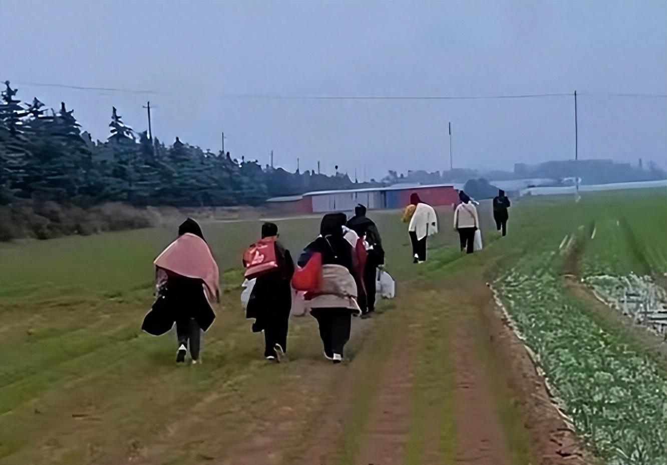 郑州富士康和深圳富士康,郑州富士康到底是怎么回事