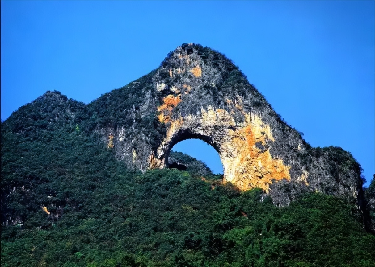 谢谢会说11门外语的阿婆，治愈了我的焦虑症