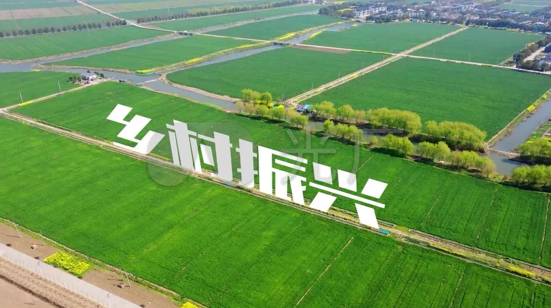 乡村振兴助推乡村振兴,推动乡村振兴焕发乡村活力