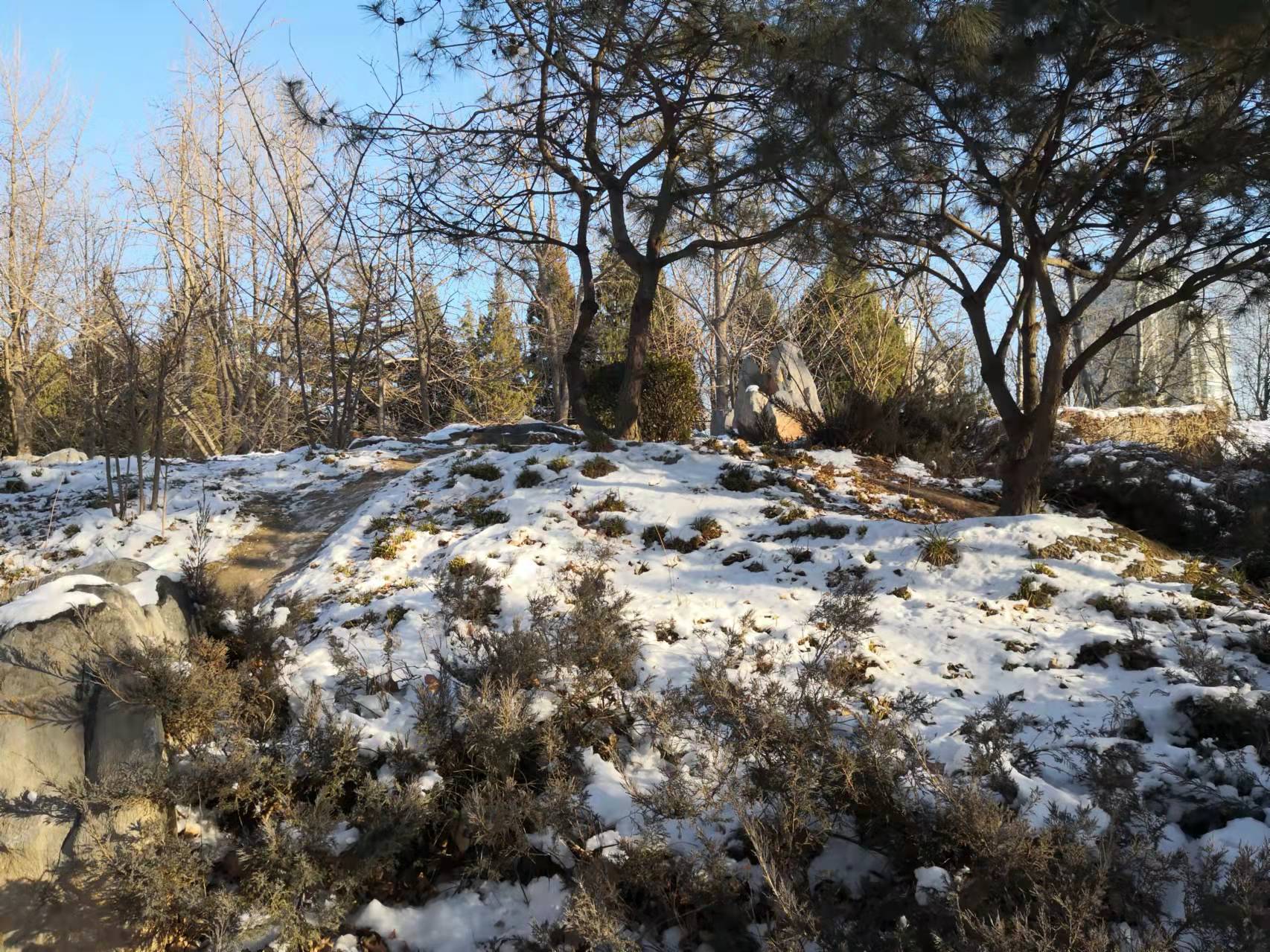 过年了天蓝蓝（诗歌十首）北京张新贵